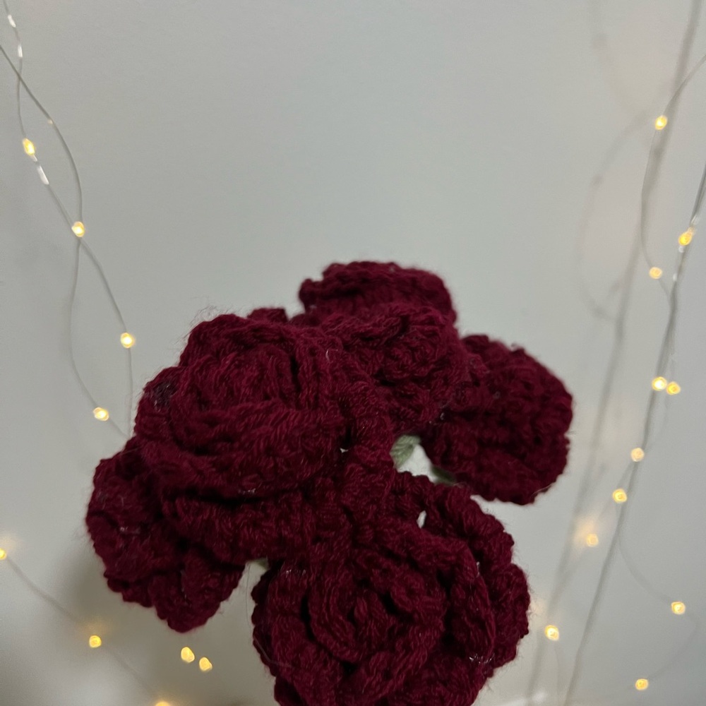 Handcrafted half dozen Crochet Flowers solid color your pic !!